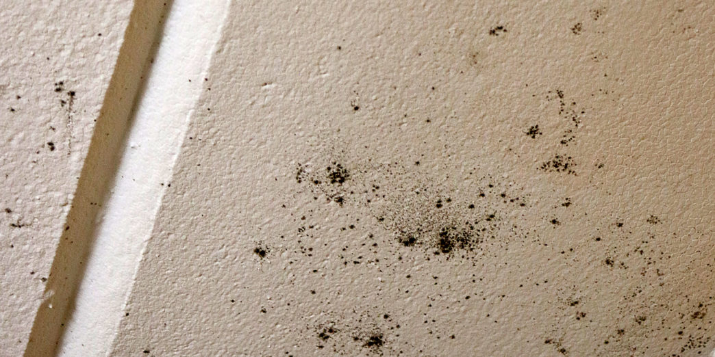 Econo Lodge Columbus Mississippi