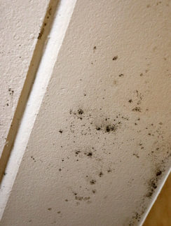 Econo Lodge Columbus Mississippi