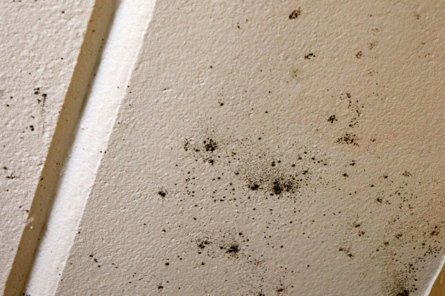 Econo Lodge Columbus Mississippi