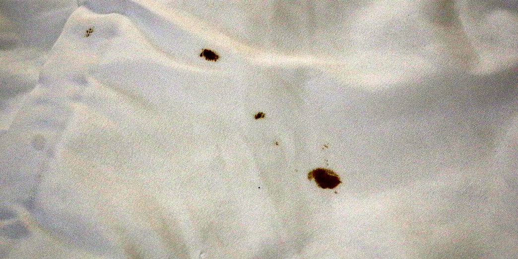 Econo Lodge Columbus Mississippi