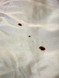 Econo Lodge Columbus Mississippi