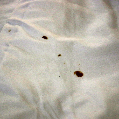 Econo Lodge Columbus Mississippi