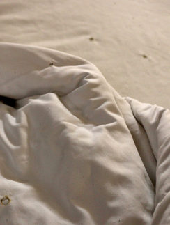 Econo Lodge Columbus Mississippi