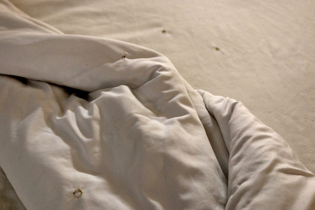 Econo Lodge Columbus Mississippi