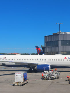 Delta Air Lines