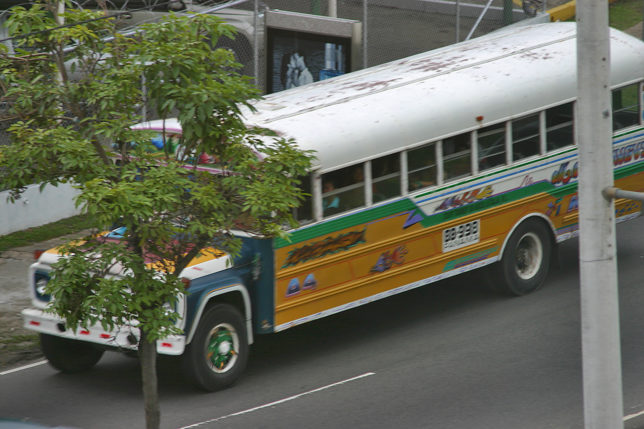 a bus on the road