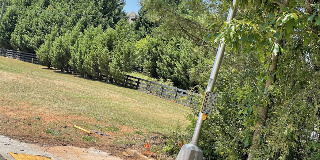 a pole leaning against a tree