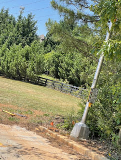 a pole leaning against a tree