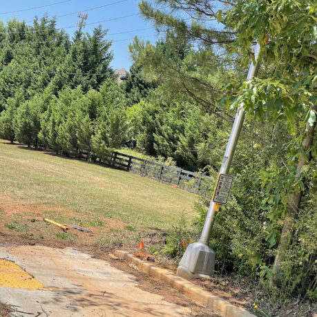 a pole leaning against a tree