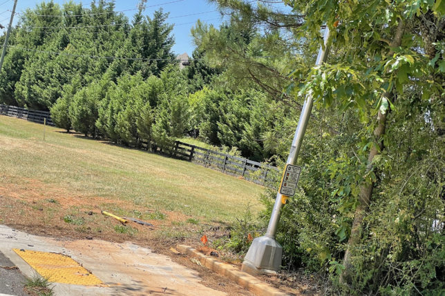 a pole leaning against a tree