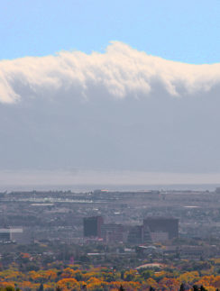 a city with trees and mountains in the background