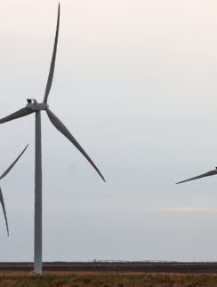 Wind turbines in Texas