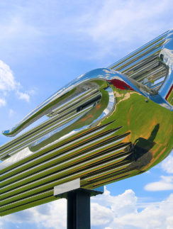 a metal sculpture of a bird