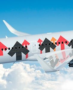 Stand Up To Cancer airplane