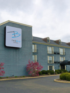 The Blu Ascend Choice