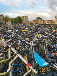 Bicycles Amsterdam Netherlands