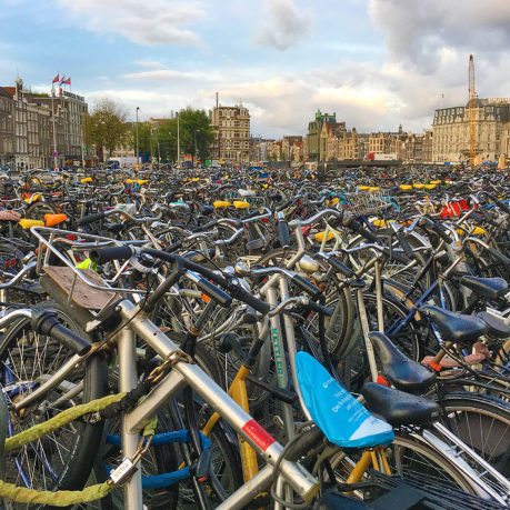 Bicycles Amsterdam Netherlands