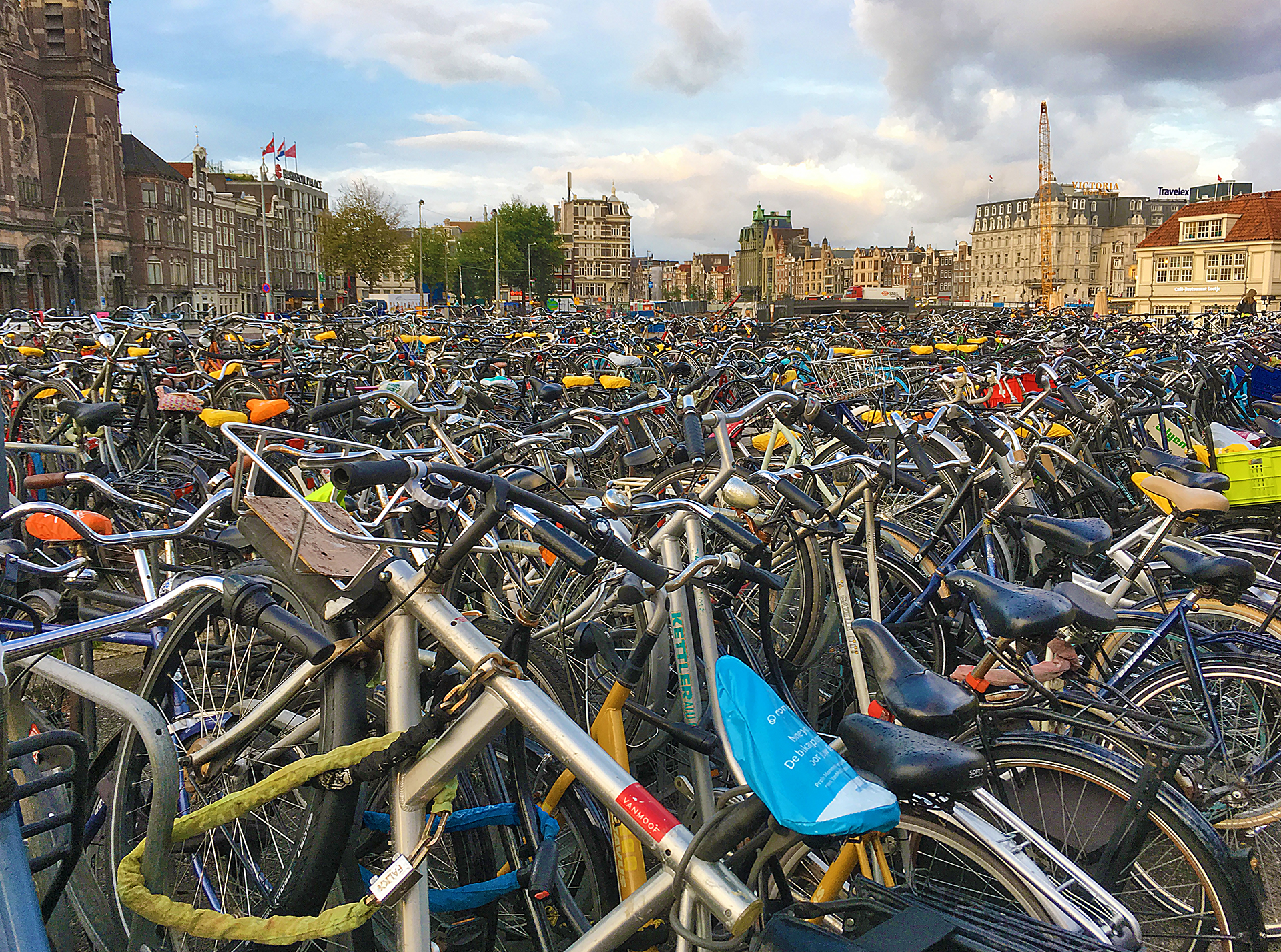 Bicycles Amsterdam Netherlands