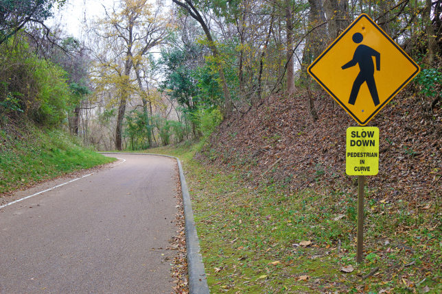 Pedestrian crossing