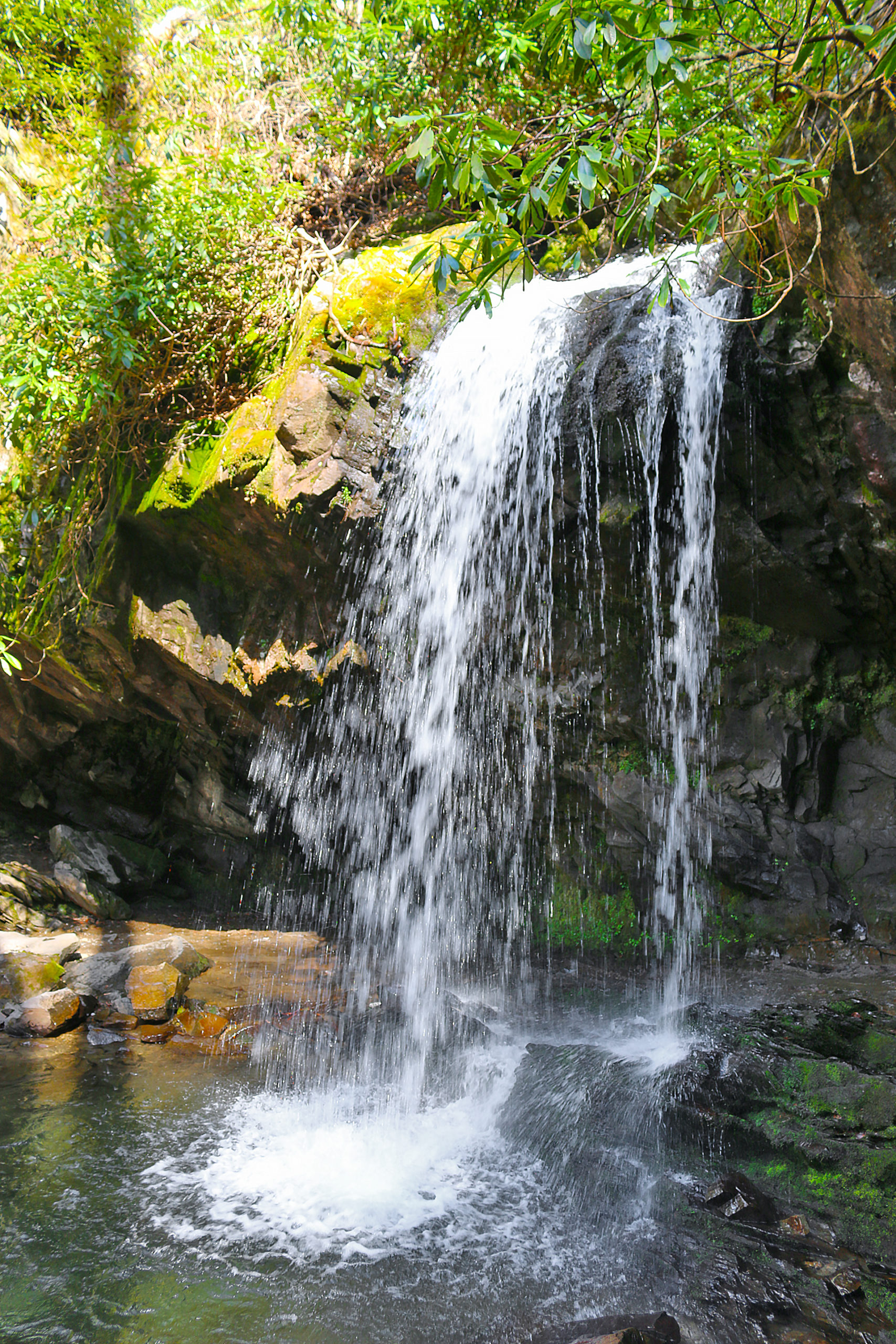 a waterfall over rocks with plants