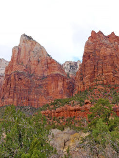 Court of the Patriarchs Zion National Park Utah