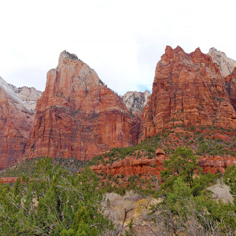 Court of the Patriarchs Zion National Park Utah