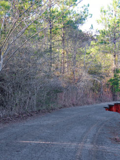 a road with red water in the middle