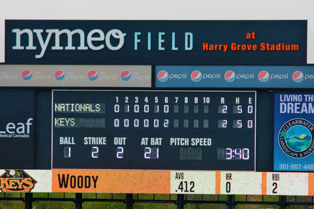 Minor League Baseball Frederick