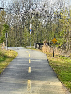 a road with signs on it