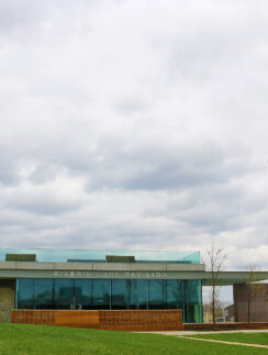 Looking Up humanoid statue