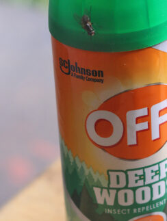 a insect repellent bottle with a bug on top