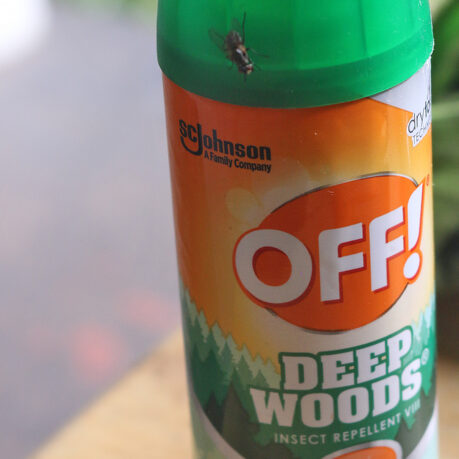 a insect repellent bottle with a bug on top