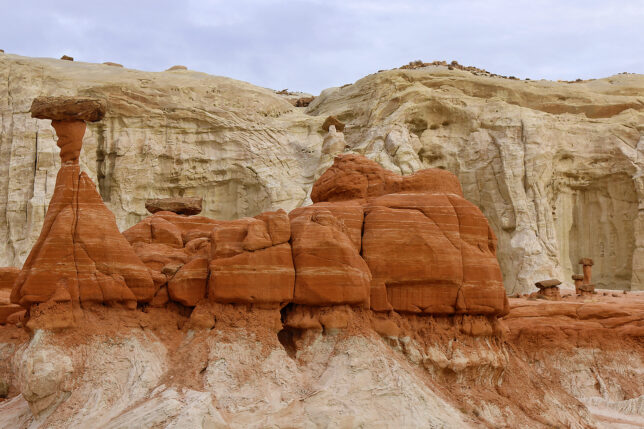 Toadstools Grand Staircase-Escalante National Monument Utah
