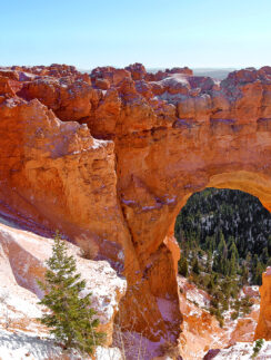 Bryce Natural Bridge Bryce Canyon Utah