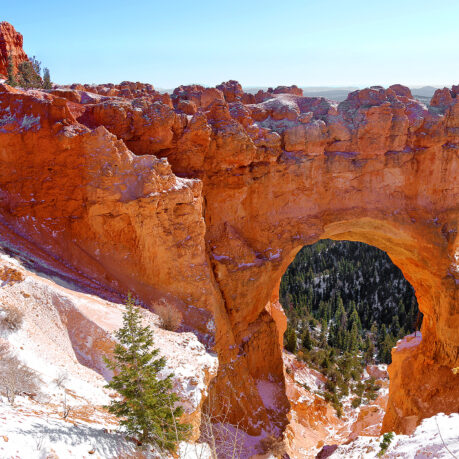 Bryce Natural Bridge Bryce Canyon Utah