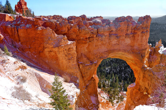 Bryce Natural Bridge Bryce Canyon Utah