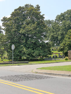 a road with a sign and trees
