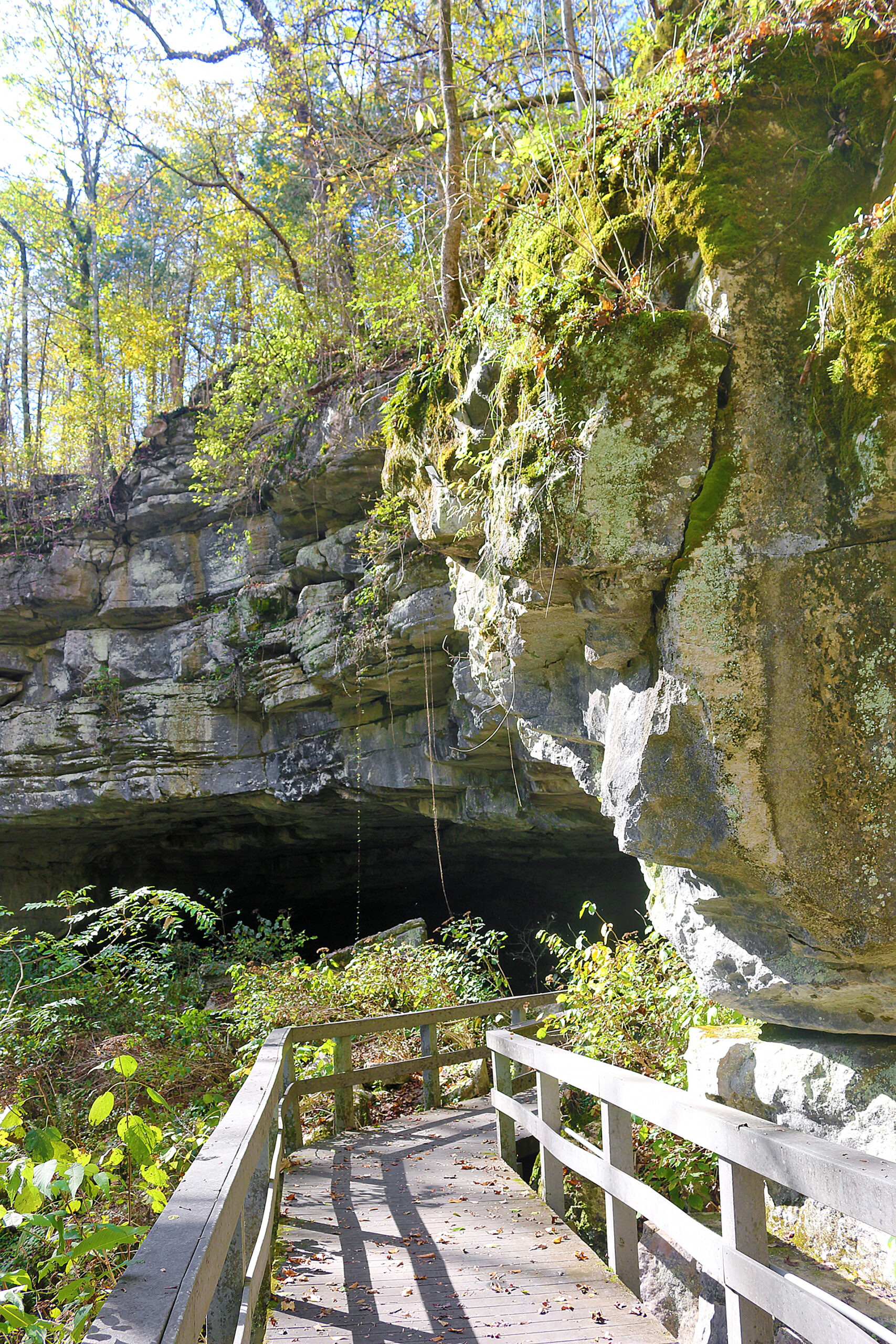 Russell Cave National Monument Alabama