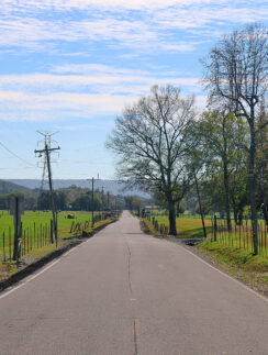 straight rural road Alabama