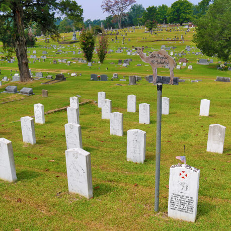 Douglas camel Vicksburg