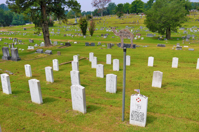 Douglas camel Vicksburg