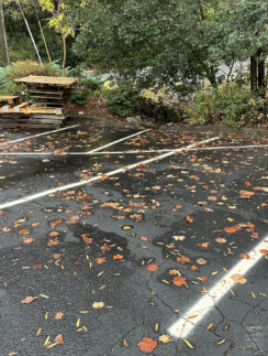 a parking lot with fallen leaves on the ground