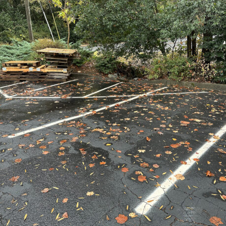 a parking lot with fallen leaves on the ground