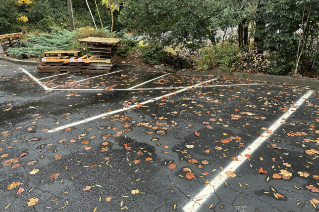 a parking lot with fallen leaves on the ground