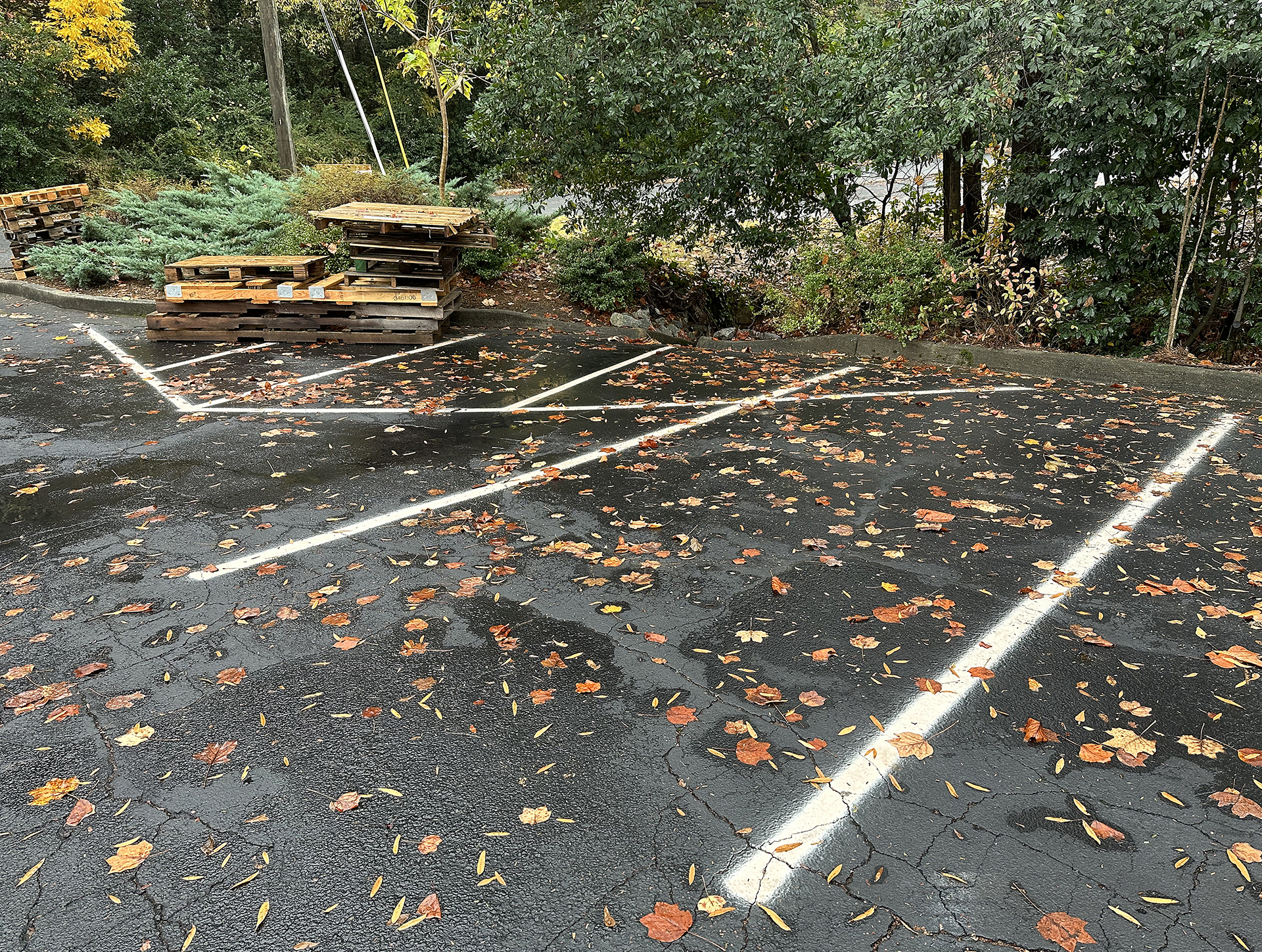 a parking lot with fallen leaves on the ground