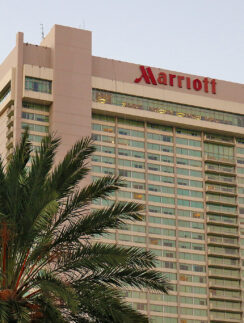 a building with a palm tree