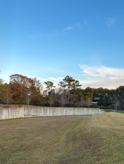 a grass field with trees in the background