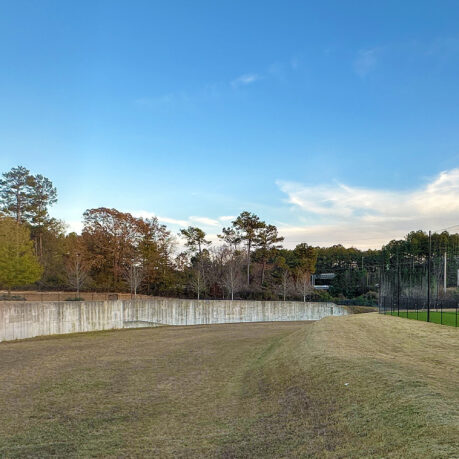 a grass field with trees in the background