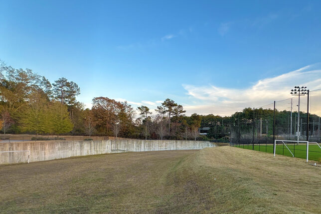a grass field with trees in the background