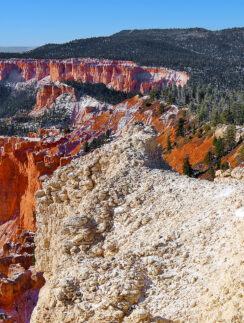 a snow covered mountain with trees